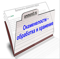 Окаменелости: обработка и хранение