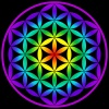 Aura-Mira