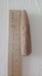 Белемнит (8 см).