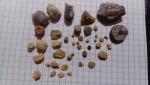 Окаменелости из карста