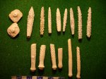 иглы и пластинки панциря Archaeocidaris rossica