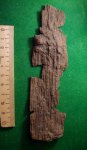 самый расплющенный отлив 1.5 мм в самом толстом месте Calamites sp. самый расплющенный отлив 1.5 мм в самом толстом месте Calamites sp.