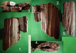 Фрагмент ствола Cordaites (?). Фрагмент ствола Cordaites (?).
