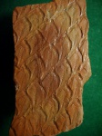 Lepidodendron obovatum ( из не изданного 3 ) Lepidodendron obovatum ( из не изданного 3 )