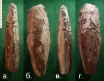 Pinna ( Gervillia ) extenuata.
