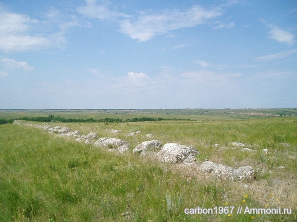 карбон