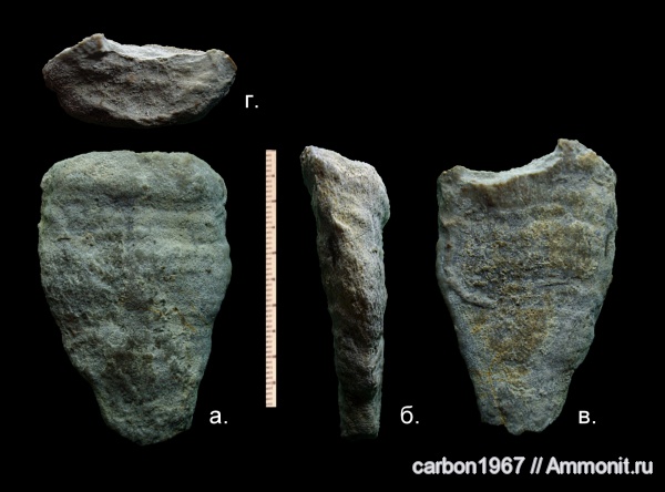 мел, губки, Cretaceous