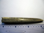 Белемнит Cylindroteuthis