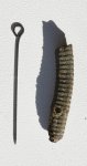 Стебель криноидеи Pentacrinus sp.