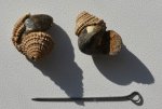 Гастропода Eucycloscala pseudopagodaformis (?)