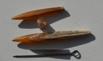 Белемниты Hibolites shimanskyi