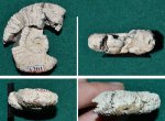 Аммонит Epivirgatites (?)