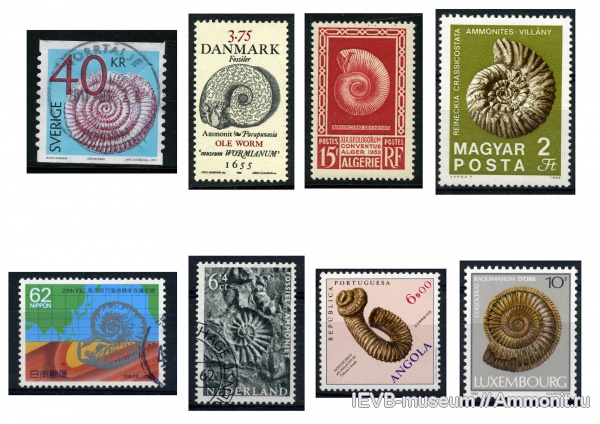 аммониты, Ammonites, рисунки, марки