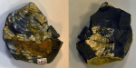Двустворка Inoceramus sp.