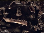 Остатки костной рыбы, маастрихт демо-5