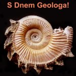 Binatisphinctes mosquensis (Fischer)