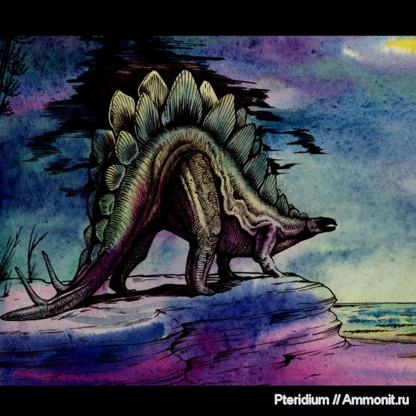 Stegosaurus