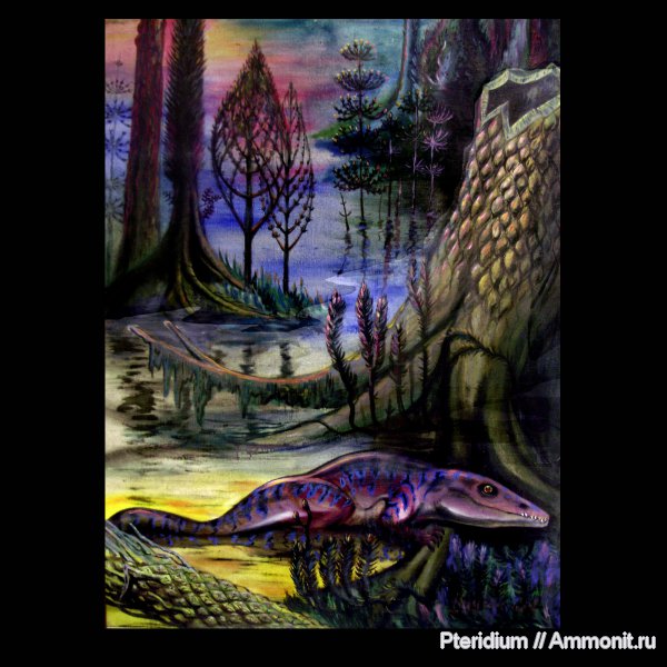карбон, каменноугольный период, Carboniferous, реконструкция, плауновидные