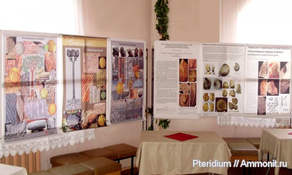 аммониты, карбон, криноидеи, каменноугольный период, Carboniferous, плауновидные, Ammonites