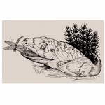 Melosaurus uralensis Meyer