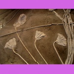 Traumatocrinus