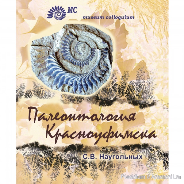 брахиоподы, мшанки, геликоприон, Флора, артинский ярус, аммоноидеи, пермская система, кунгурский ярус, гониатиты