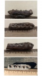 челюсть рыбы Aspidorhynchus из сеномана.