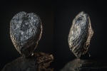 Pholadomya? сердечко из Марково на определение