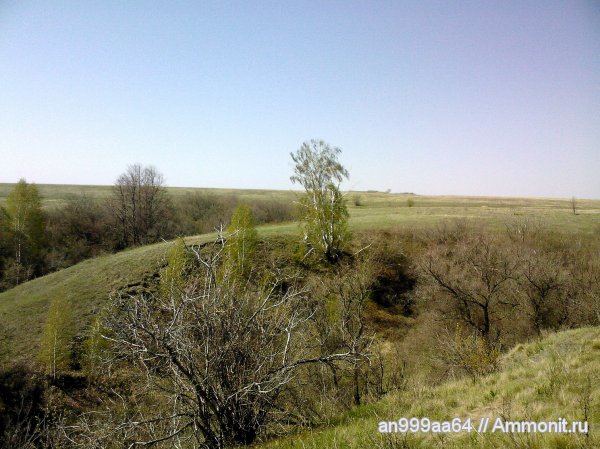 юра, келловей, Саратовская область, Callovian, Jurassic, Middle Jurassic