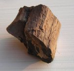 Неизвестное растение