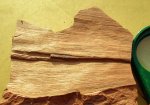 Фрагмент листа кордаита