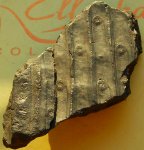 Sigillaria principis