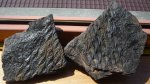Раскол (Lepidodendron sp.)