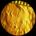 Кора с клеточной структурой