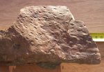 Asolanus