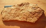 Растительная смесь 2