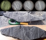 Palaeostachya