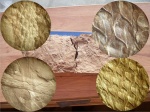 Lepidodendron