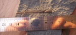 Cyperites