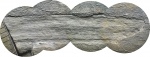 Шишка (Bothrodendrostrobus)??
