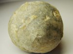 Цистоидея Echinosphaerites он же Морской пузырь (Кингисеп, Ленинградская обл.)