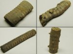 Членики морских лилий (4 разных вида)