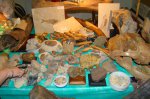 Фотография с выставки ГЕММА (04.2011)
