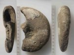Раковина аммонита Anadesmoceras (17)