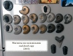 Магниты на холодильник (real fossil copy)