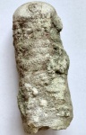 Endocerida 2