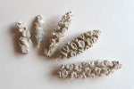 окаменелые шишки (Geinitzia schlotheimii) окаменелые шишки (Geinitzia schlotheimii)