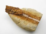 окаменелая ветка хвойника (Cunninghamia sp.?) окаменелая ветка хвойника (Cunninghamia sp.?)