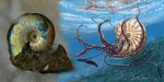 Garniericeras catenulatum и его реконструкция