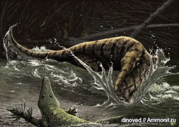 триас, палеоарт, бентозух, Chasmatosuchus, Benthosychus